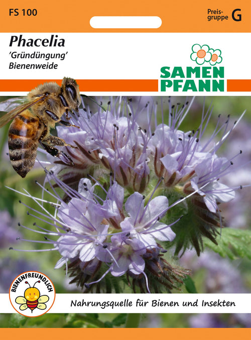 Samen Pfann Gründüngung Bienenweide Phacelia