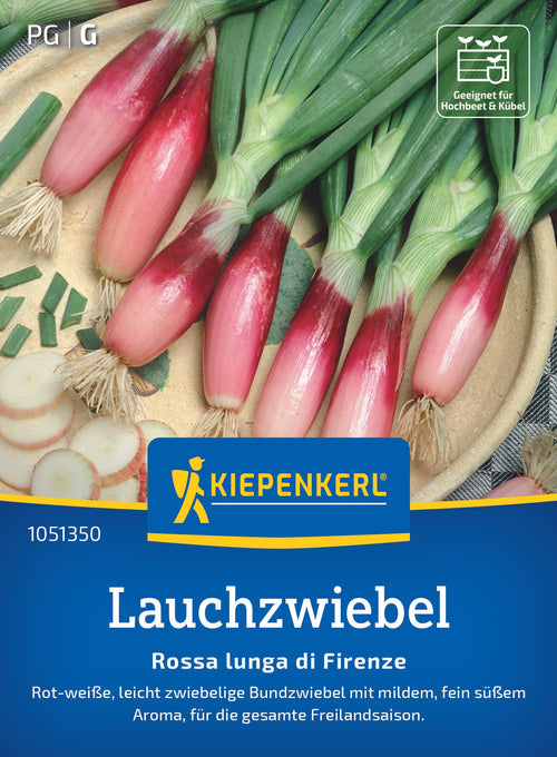 Kiepenkerl Zwiebel Rossa lunga di Firenze