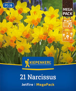 Mega-Pack Narzissen Jetfire