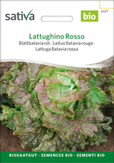 Sativa Blattbatavia rot Lattughino Rosso