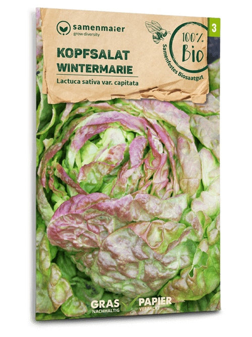 Samen Maier BIO Kopfsalat Wintermarie