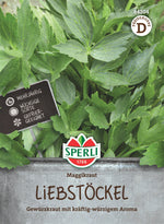 SPERLI Liebstock Maggikraut