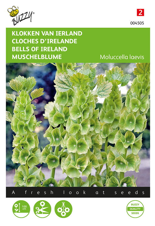 Buzzy Seeds Wassersalat Muschelblume