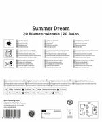 Mega Pack Summer Dream