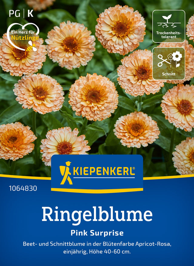 Kiepenkerl Ringelblumen Pink Surprise