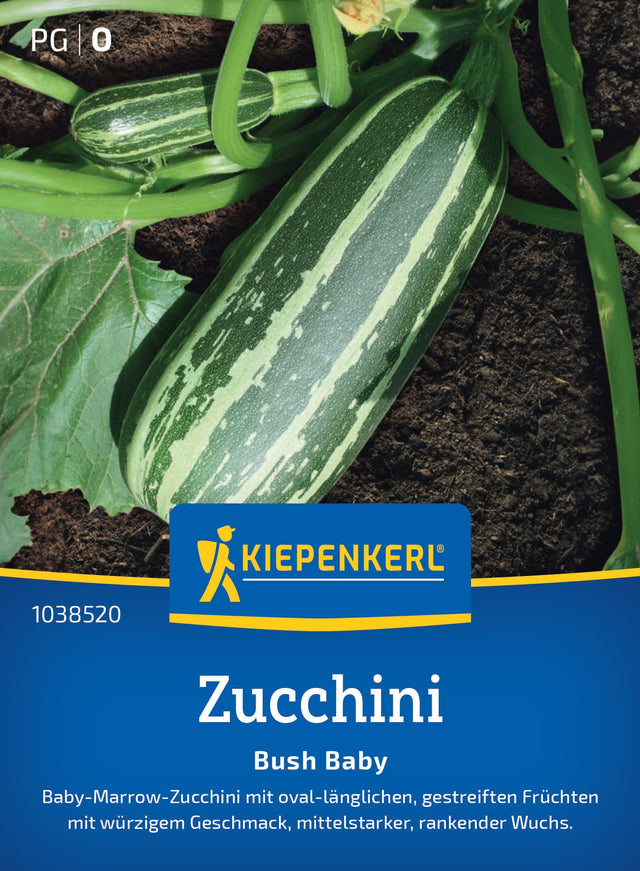 Kiepenkerl Zucchini Bush Baby