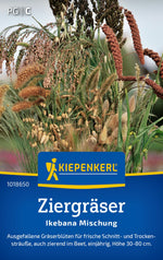 Kiepenkerl Ziergräser Ikebana Mischung
