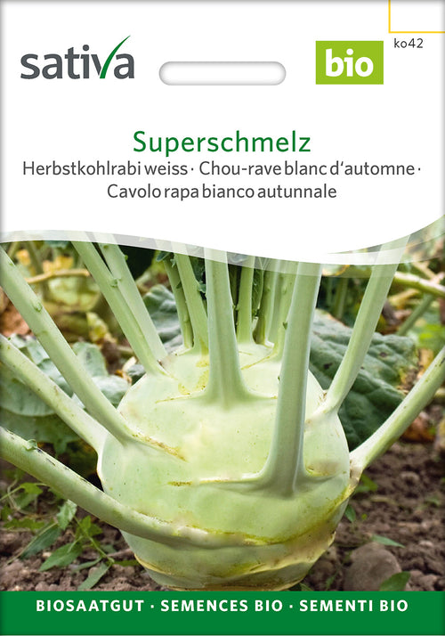 Sativa Herbstkohlrabi weiss Superschmelz