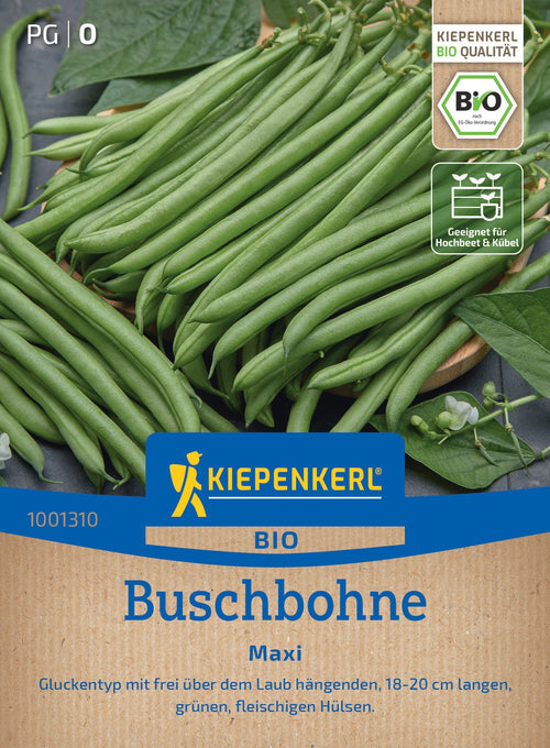 Kiepenkerl Buschbohnen Maxi