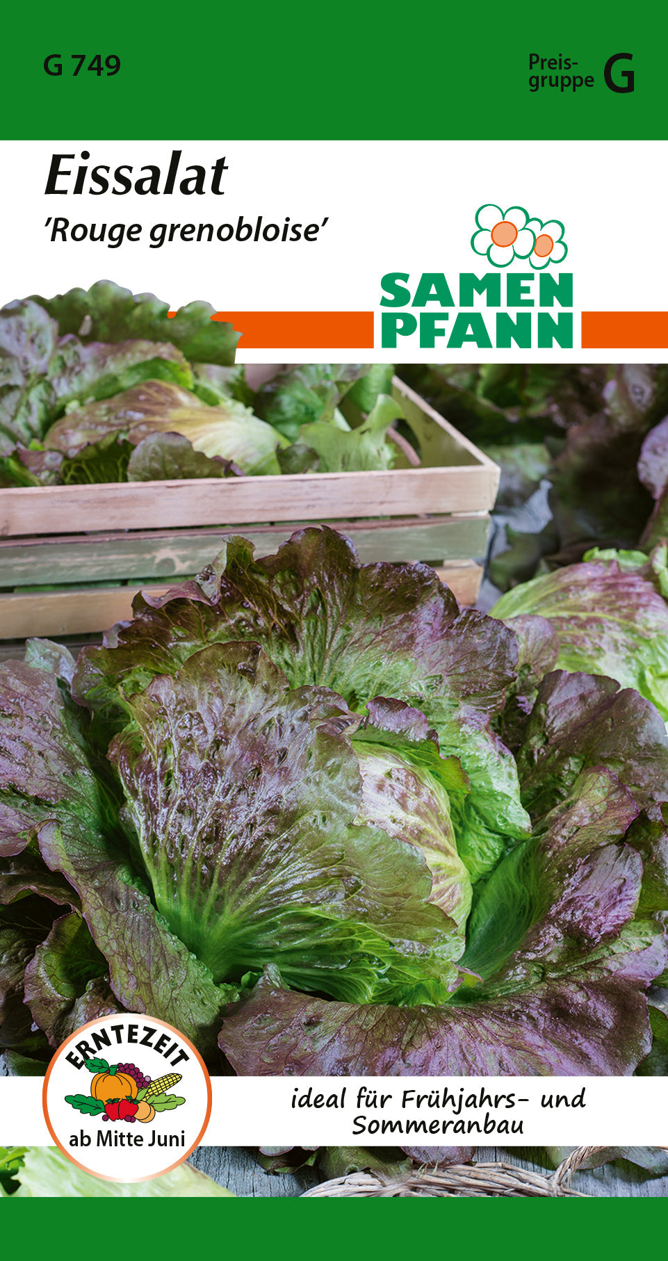 Samen Pfann ﻿﻿Rouge grenobloise Eisbergsalat