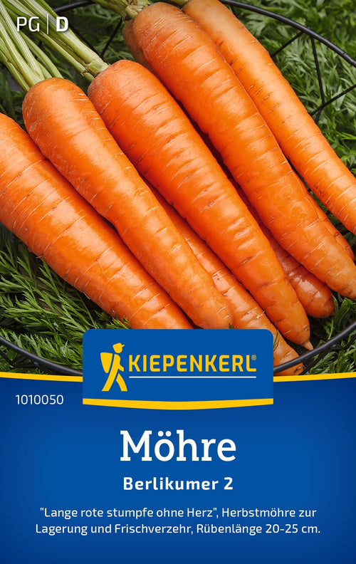 Kiepenkerl Möhren Berlikumer 2