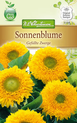 N.L. Chrestensen Helianthus Sonnenblume, Gefüllte Zwerge, gelb