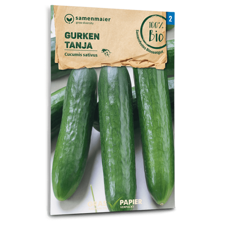 Samen Maier BIO Salatgurke Tanja