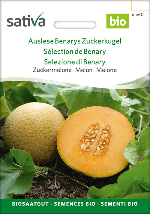 Sativa Zuckermelone Auslese Benarys Zuckerkugel