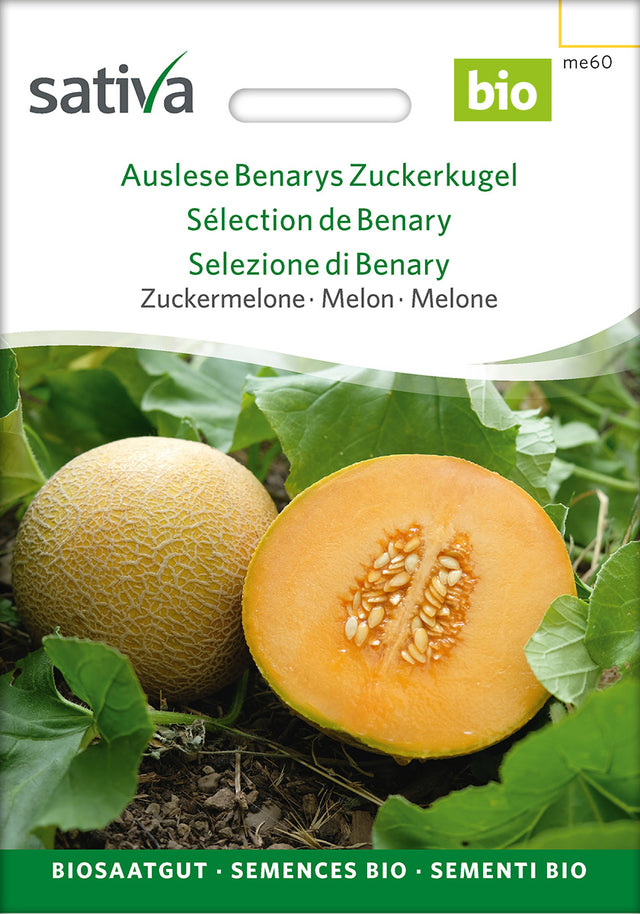 Sativa Zuckermelone Auslese Benarys Zuckerkugel