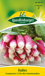 Quedlinburger Radieschen Flamboyant 2