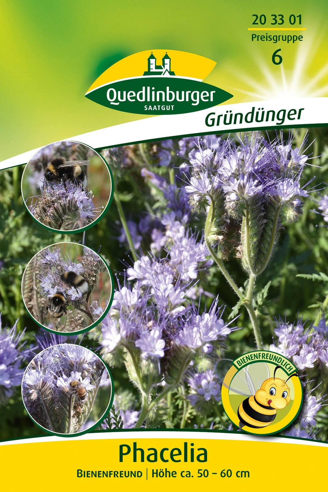 Quedlinburger Gründüngung Phacelia Bienenfreund