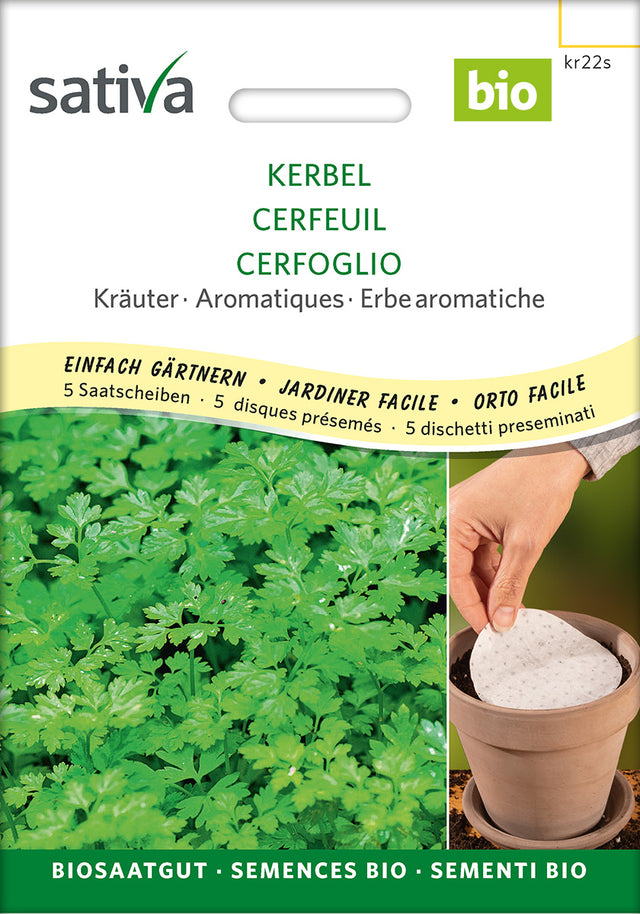 Sativa Kerbel Saatscheibe