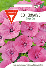 Frankonia Samen Malven Silver Cup