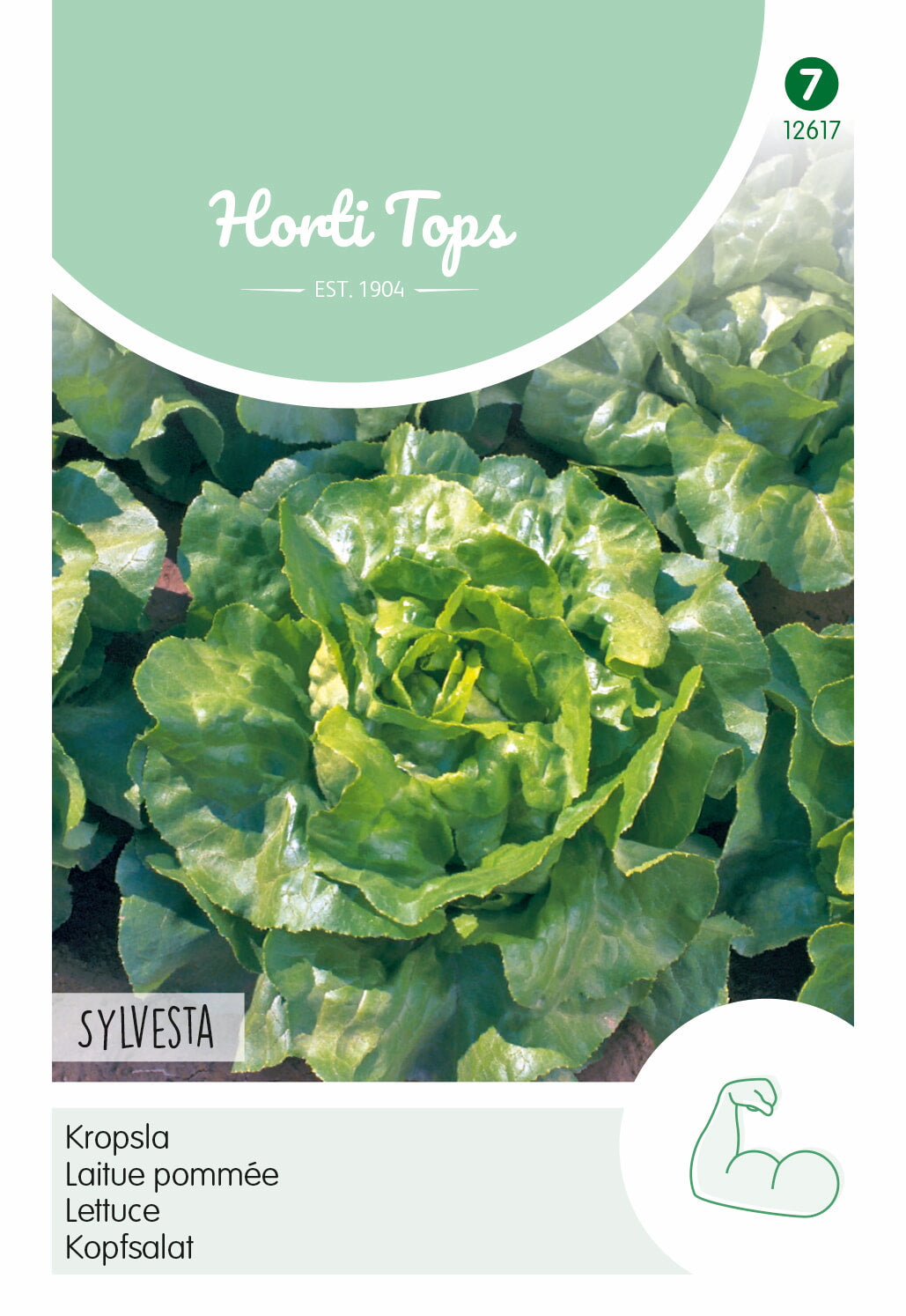 Horti Tops Kopfsalat Sylvesta