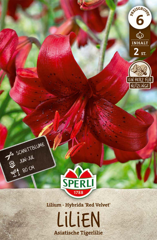 SPERLI Lilie Lilie Red Velvet