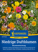Kiepenkerl Blumensamen-Mischung Niedrige Duftblumen