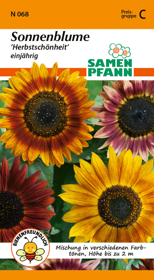Samen Pfann Sonnenblume Herbstschönheit einjährig