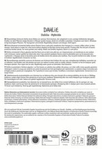 SPERLI Dahlie Café au Lait
