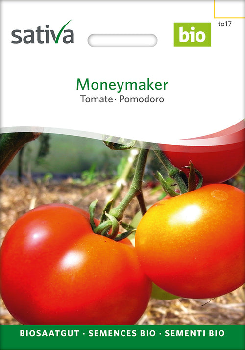 Sativa Tomate Moneymaker