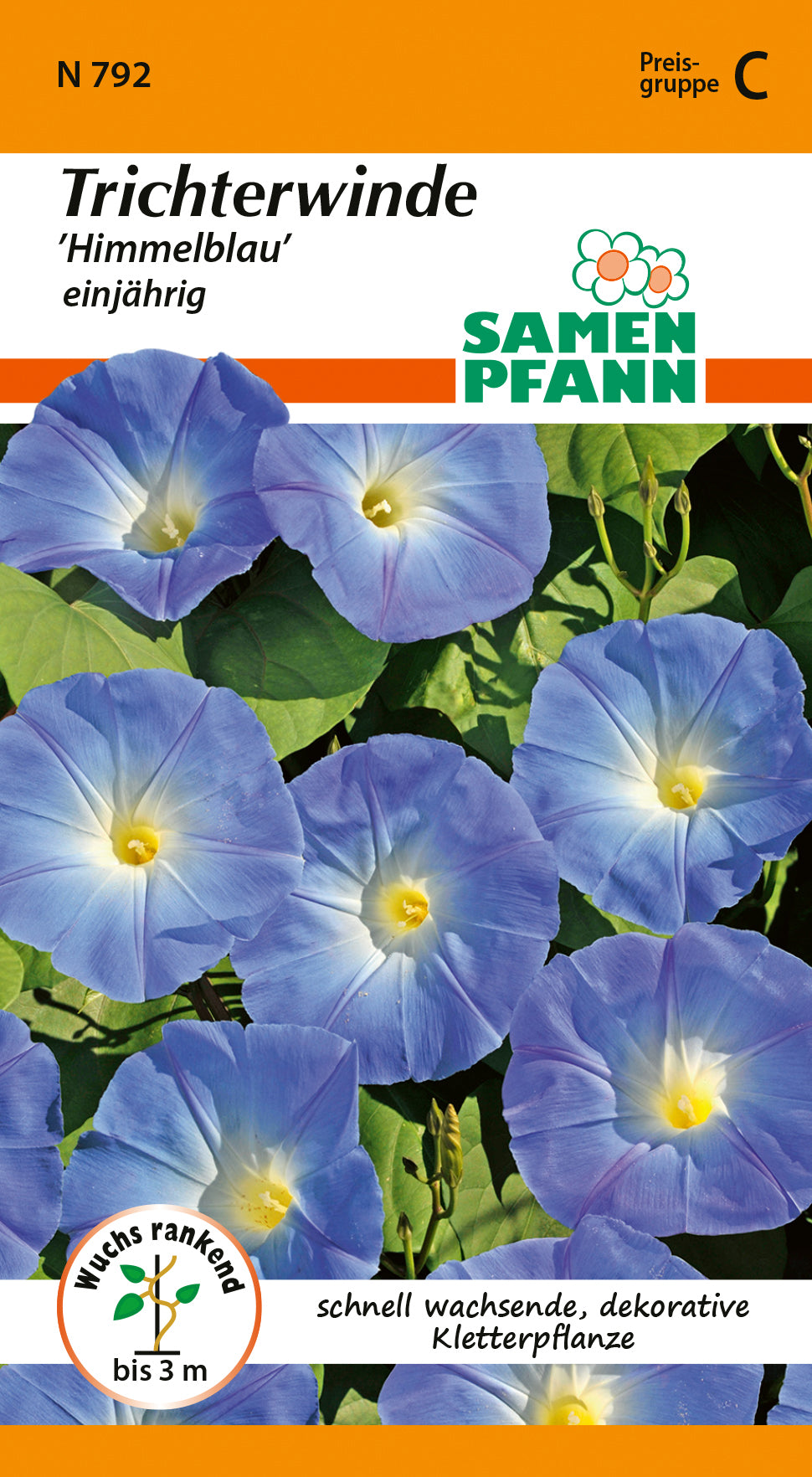 Samen Pfann Trichterwinde Himmelblau einjährig