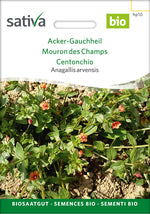 Sativa Anagallis arvensis Acker-Gauchheil