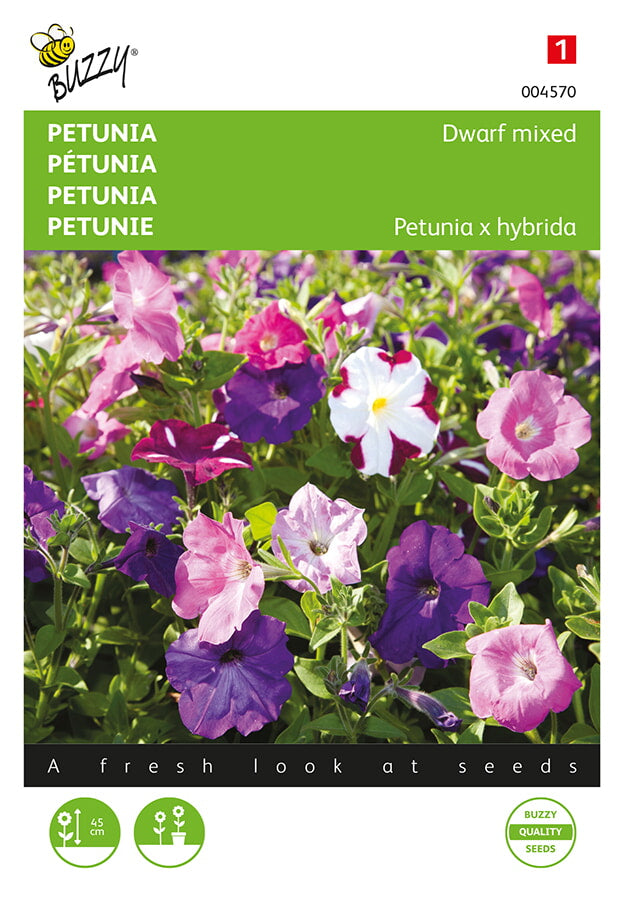 Buzzy Seeds Petunien Niedrige Mischung