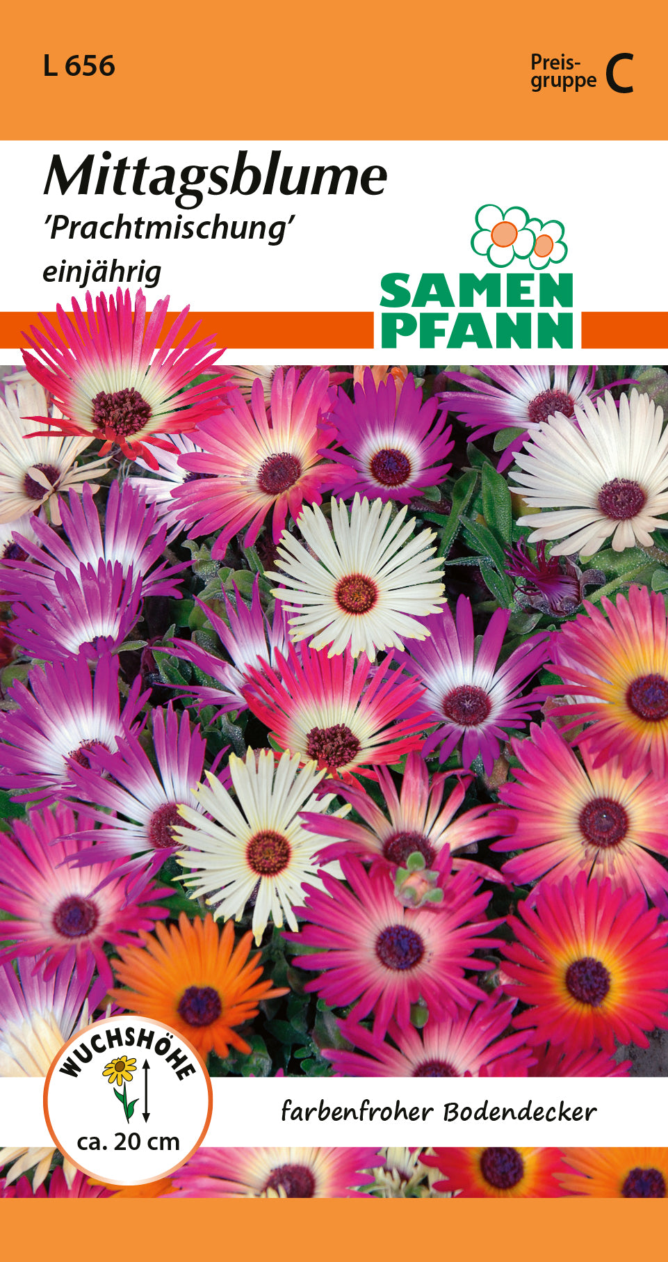 Samen Pfann Mittagsblume Prachtmischung