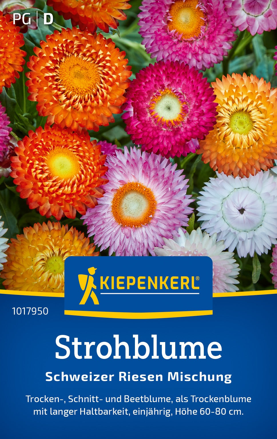 Kiepenkerl Strohblumen Schweizer Riesen Mischung
