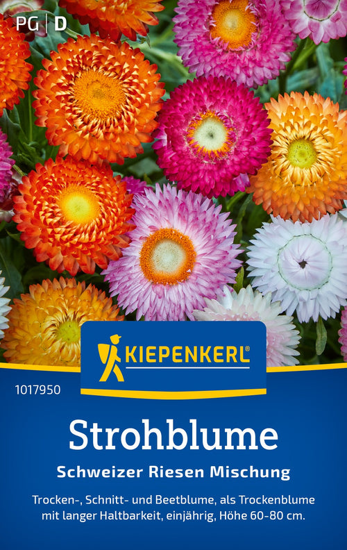Kiepenkerl Strohblumen Schweizer Riesen Mischung