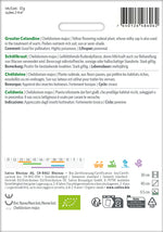 Sativa Chelidonium majus Schöllkraut