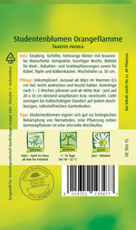 Quedlinburger Studentenblume Orangeflamme
