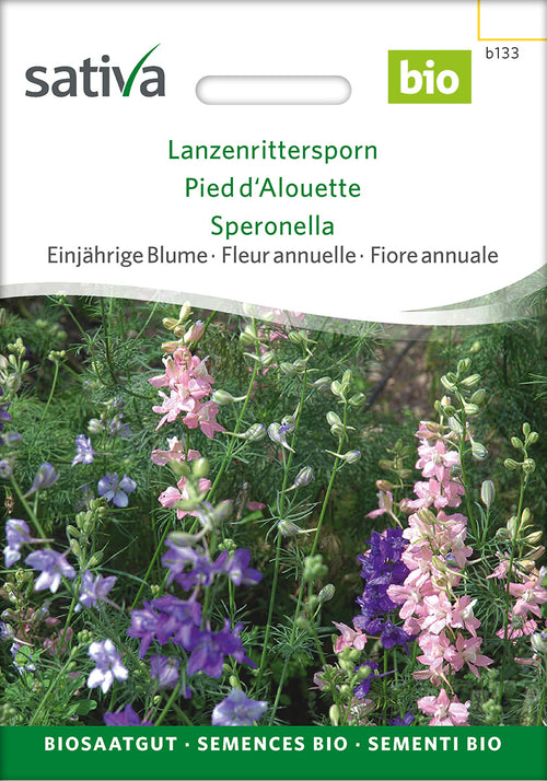 Sativa Lanzenrittersporn Lanzenrittersporn