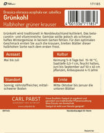 Pabst Keimkraft Grünkohl Halbhoher grüner krauser