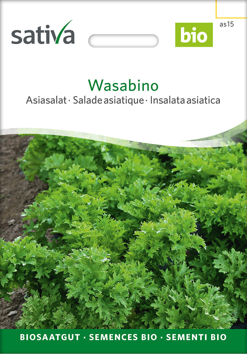 Sativa BIO Asiasalat Wasabino