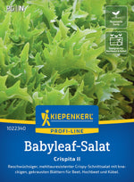 Kiepenkerl Pflück- & Schnittsalat Crispita II