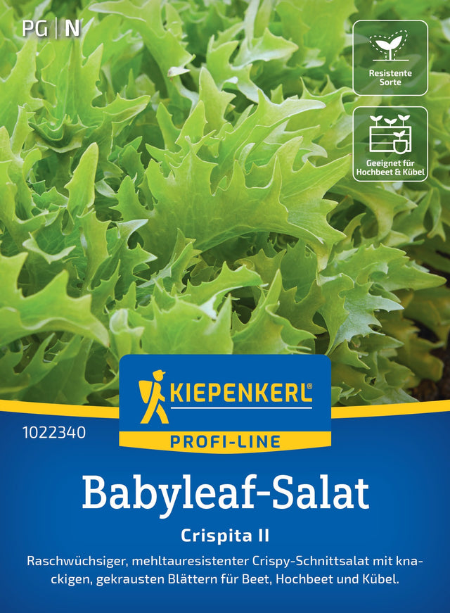 Kiepenkerl Pflück- & Schnittsalat Crispita II