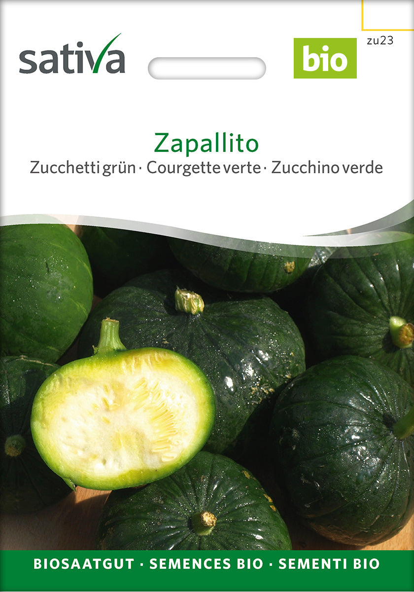 Sativa Zucchetti grün Zapallito