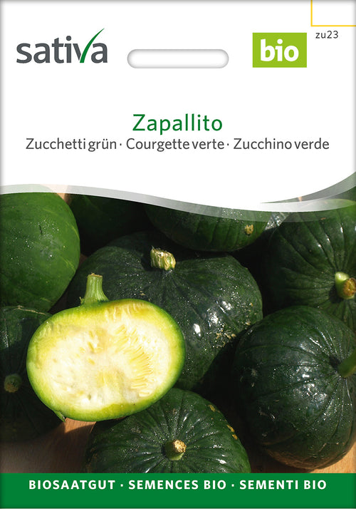 Sativa Zucchetti grün Zapallito