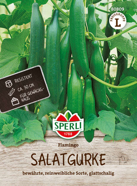 SPERLI Salatgurke Flamingo
