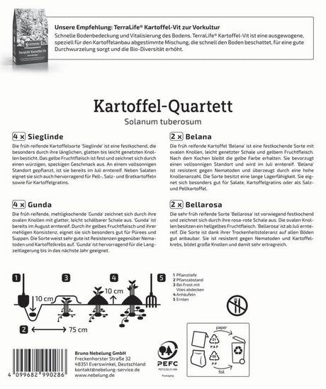 Kiepenkerl Pflanzkartoffel Quartett Grillkartoffeln 12 Stück