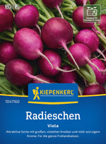 Kiepenkerl Radieschen Viola