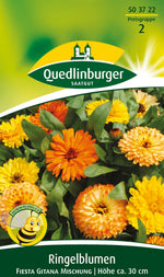 Quedlinburger Ringelblume Fiesta Gitana Mischung