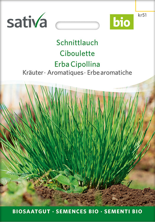 Sativa Schnittlauch