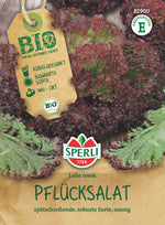 SPERLI BIO Pflück- & Schnittsalat Lollo rossa